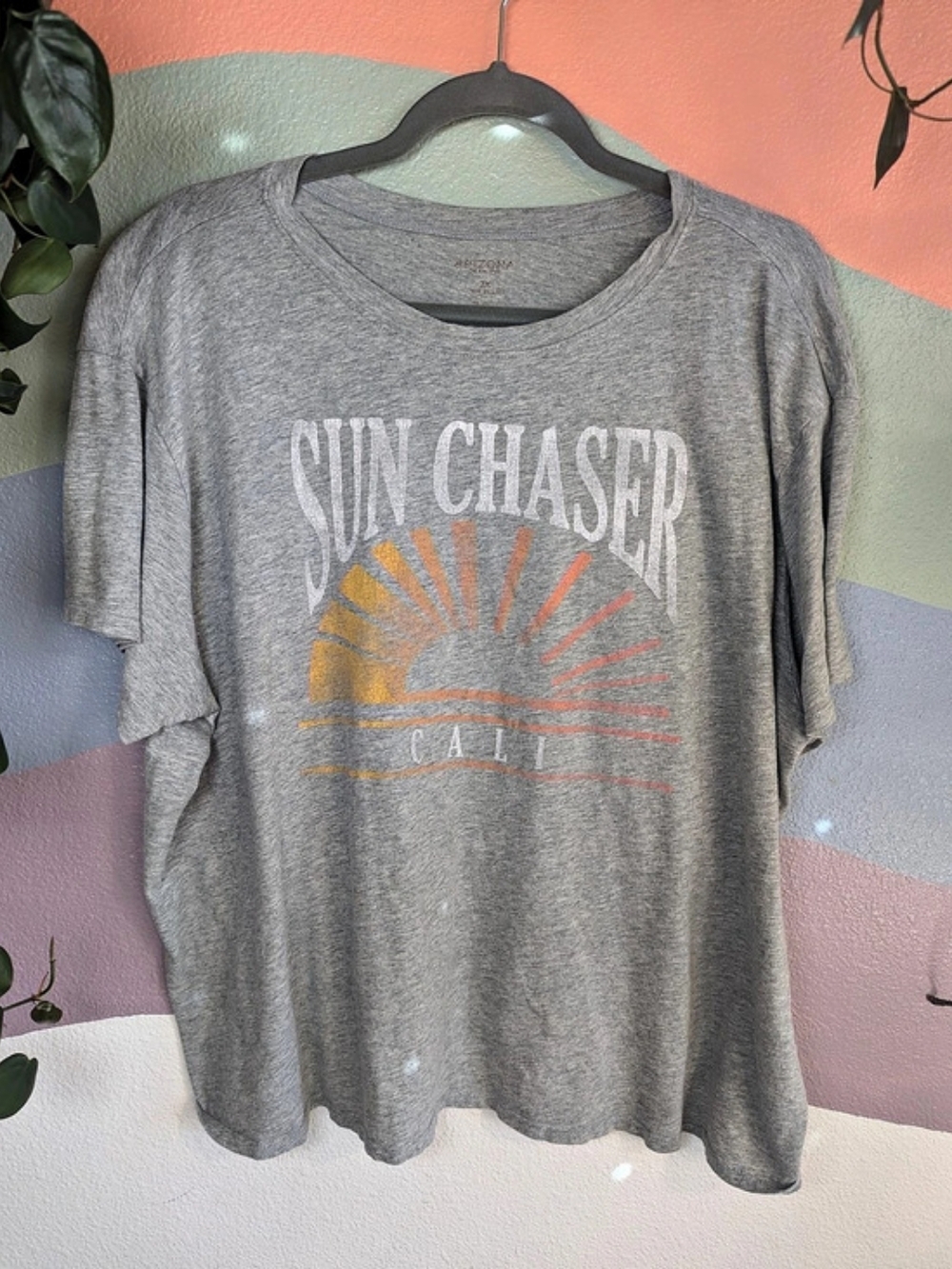 Arizona Jean Company Graphic Short Sleeve Tee in Gray & Yellow